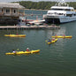National Parks Adventure: Acadia Sea Kayaking