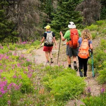 Summer Adventures: Alpine Wildflower Hike