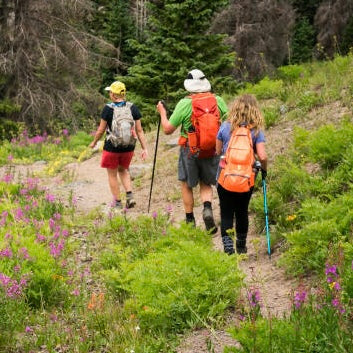 Alpine: Wildflower Identification Hike