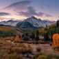 Aspen Fall Color Photography Tour