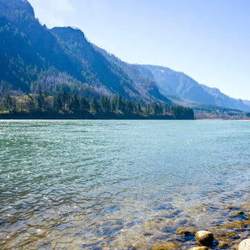 Columbia River Gorge Fly Fishing for Steelhead