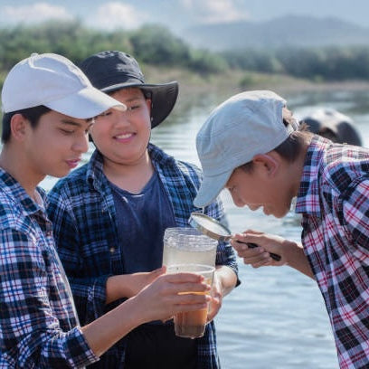 Entomology for Anglers