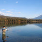 Alpine: High-Altitude Lakes Fly Fishing Expedition