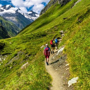 Alpine: Introduction to Mountaineering