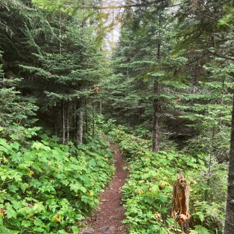 Isle Royale National Park Backpacking Expedition