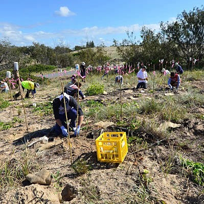 National Parks Volunteer Stewardship Project