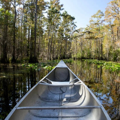 Okefenokee Swamp Canoe Trip