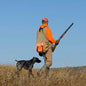 Traditional Upland Quail Hunting