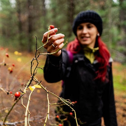 Wild Edible and Medicinal Plants