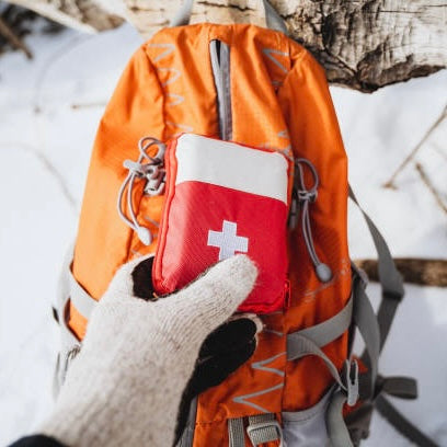 Wilderness Medicine for the Professional Guide